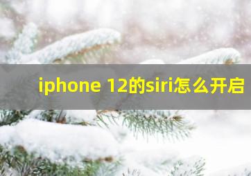 iphone 12的siri怎么开启